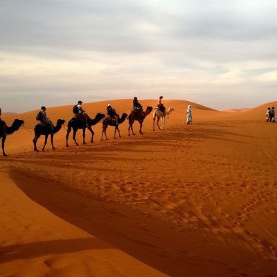 Safari in the Qatar desert
